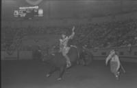 Don Graham on Bull #07