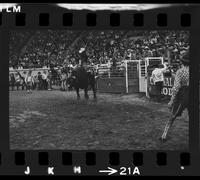 Don Graham on Matlock