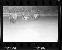 Rodeo clowns Glen Urban & Kajun Kid Bull figjhting with Bull #29