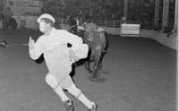 Unidentified Rodeo clowns Bull fighting