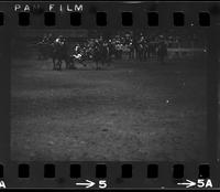 James McClain Steer wrestling