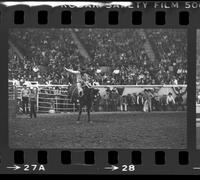 Unidentified Bronc rider on unknown mount