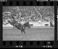 Mel Coleman Hyrum Special