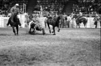C.R. Boucher Steer wrestling, 5.0 Sec