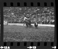 Greg Winham Calf roping, 9.9 Sec