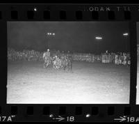 Mike Harris Steer wrestling