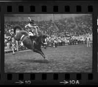 Monty Henson on Starlight