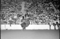 Butch Kirby on Bull #T9