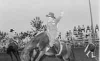 Unidentified Bareback rider on unknown mount