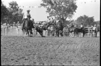 ? Swanson Steer wrestling