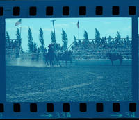 Jim Poteet Steer wrestling