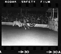 Unknown Rodeo clowns Bull fighting