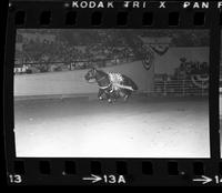 Trick riders including,Jeanette Pluncket, Kathy Garathouse, Christi Brown, & Dollie Beutler