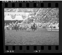 Carl Deaton Steer wrestling