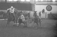 Alfalfa Fedderson Steer wrestling