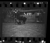 Butch Dixon on Bull #23