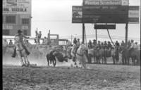 Broadus Gravettte Steer wrestling