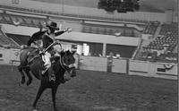 Unidentified rider on unknown mount