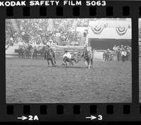 Russ Dolven Steer wrestling