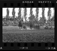 Joe Dorenkamp Steer wrestling