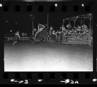 Steve Hensley on Bull #69