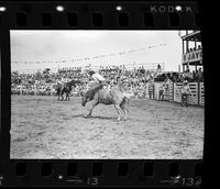 Rich Spangler on Golden Nugget