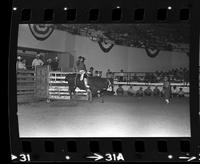 Bobby Craft on Bull #23