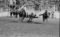 Chas. Lowry Steer wrestling