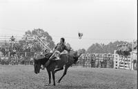 Unidentified Bareback rider