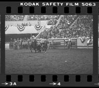 R.G. Kekich Steer wrestling