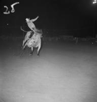 Beanie Harman Bull riding