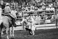 Jon Taylor & Horse