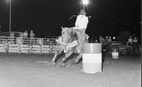 Unidentified Barrel racer