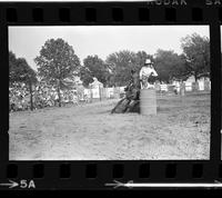 Cherri Corn Barrel racing