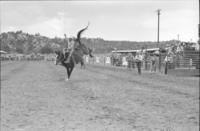 Bob Lucas on Stetson