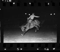 Burney Johnson on Saddle bronc #13