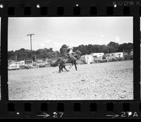 Ivyl Gheer on Saddle bronc #52