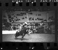 Jack Faulk on Bull #68