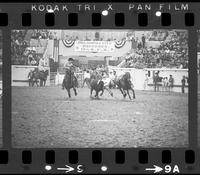 Roy Duvall Steer wrestling