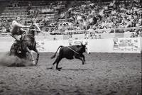 Rex Bland Calf roping