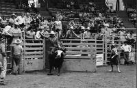 Spanky Browne on Bull #66