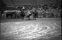 Jim Phillips Steer wrestling