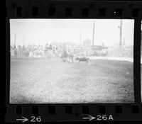 Tom Anderson Calf roping