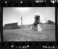 Lynn Henderson Barrel racing