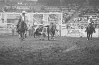 Doyle Schardt Steer wrestling