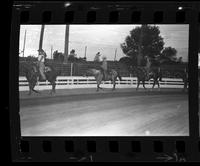 Junior Pleasure Horse show, Jerry Bliss