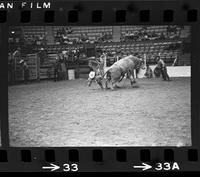 Buddy Mays on Bull #212