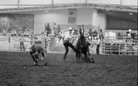 Donald Goins Calf roping