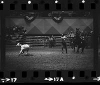 Ernie Taylor Calf roping