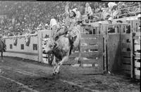 Cody Lambert on Bull #67